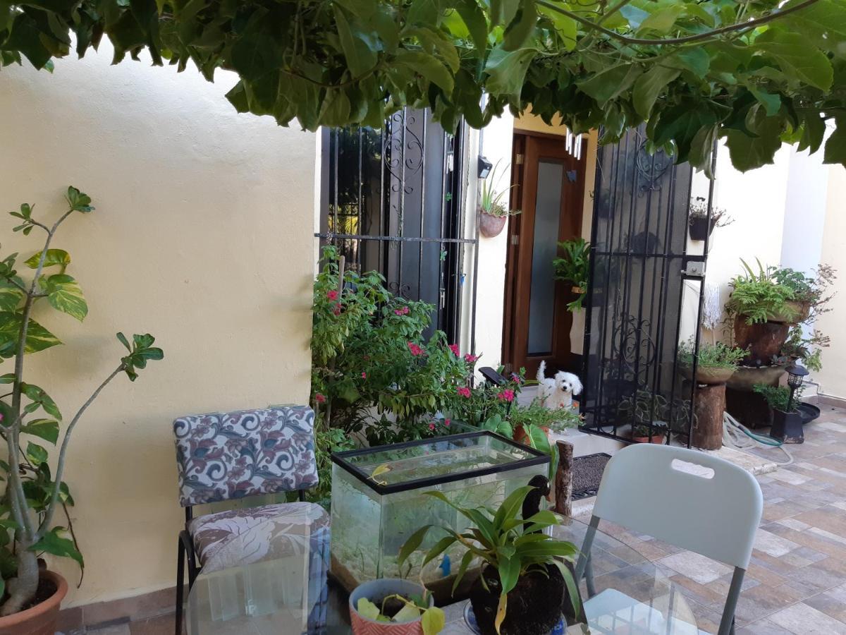 Homestay Mayapan 25 Cancun